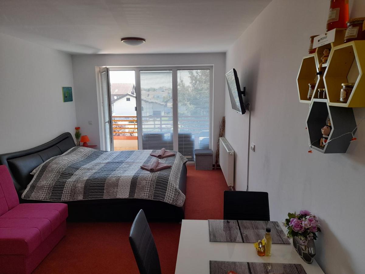 Honey Apartment Моравске-Топлице Екстериор снимка